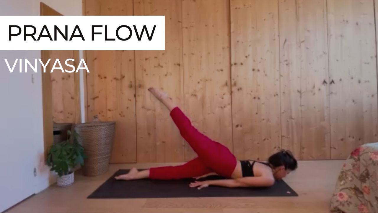 vinyasa prana flowMarie en posture de la sauterelle à une jambe lors d'une séance de vinyasa intitulée "Prana Flow".