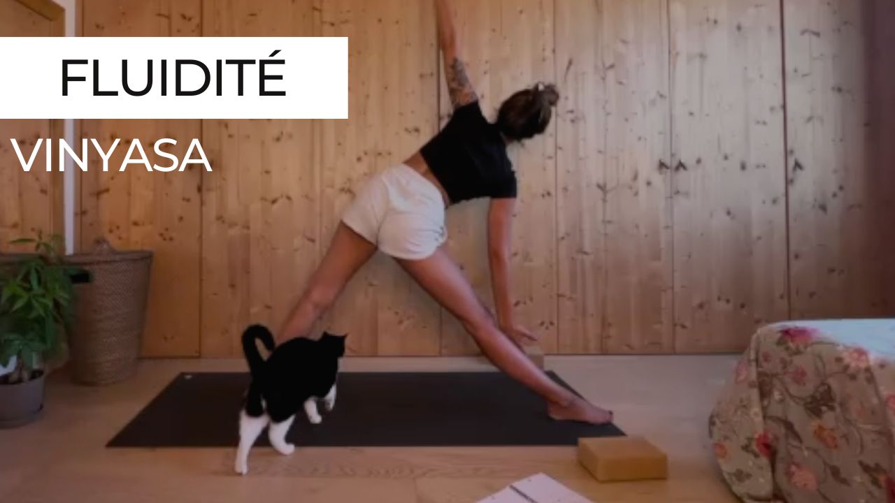 Marie en posture du triangle lors d'une séance de vinyasa yoga axée sur la fluidité, avec son chat à ses côtés.