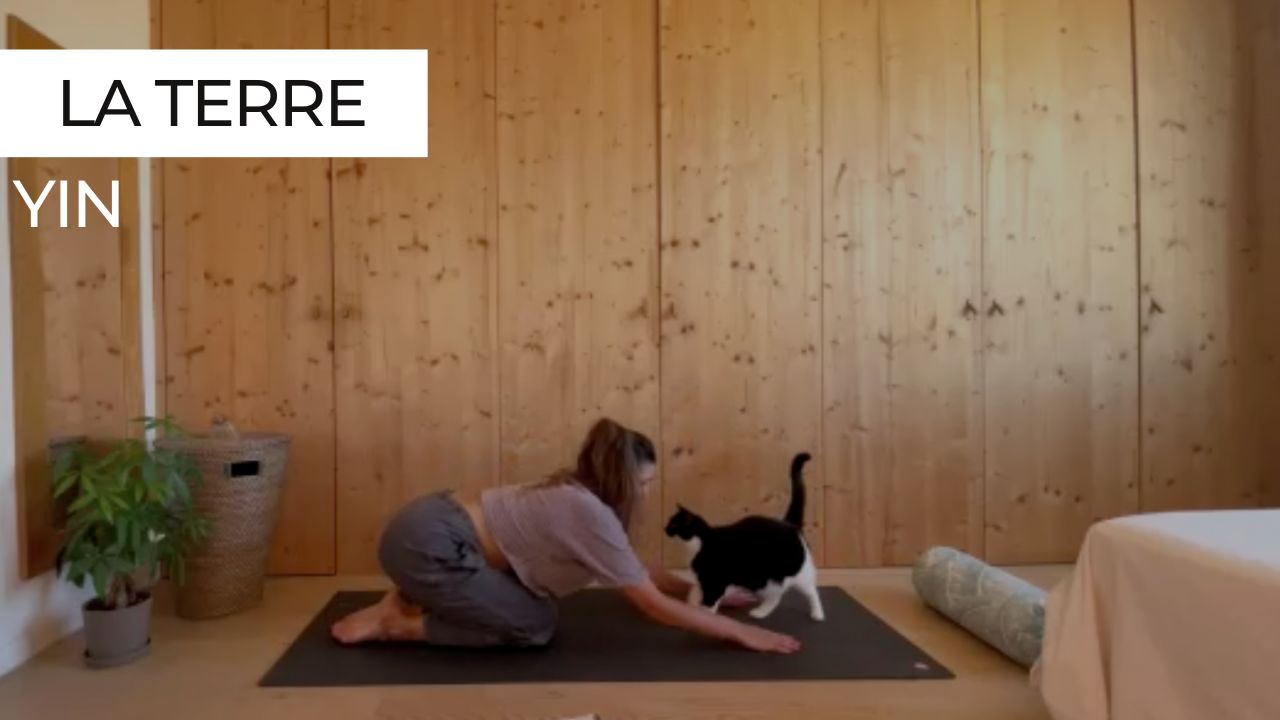 Marie en posture de l'enfant lors d'une séance de Yin Yoga sur le thème de la terre, avec son chat à ses côtés.