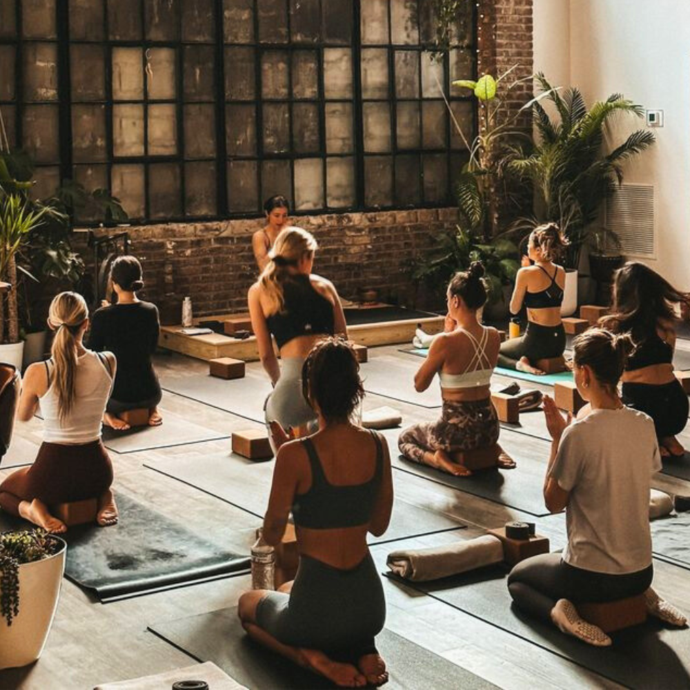 Professeurs de yoga en formation, assis sur leur tapis dans une salle lumineuse