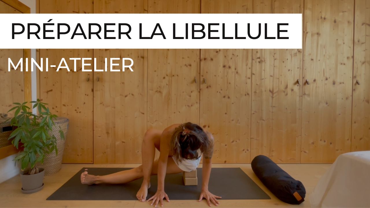 Posture de la libellule en yoga (arm balance), travaillée pas à pas en atelier technique