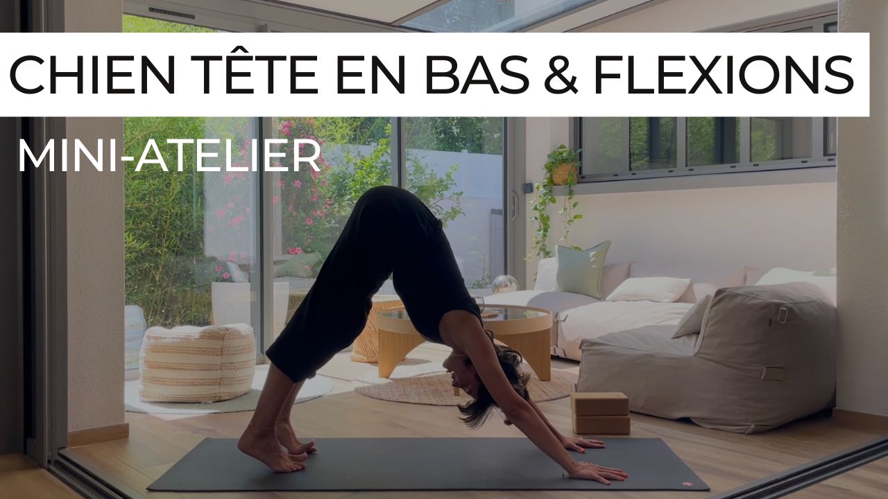Posture du chien tête en bas en yoga, exploration technique des flexions avant