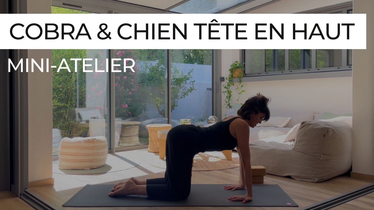 Postures de cobra et chien tête en haut, explorées en atelier technique de yoga