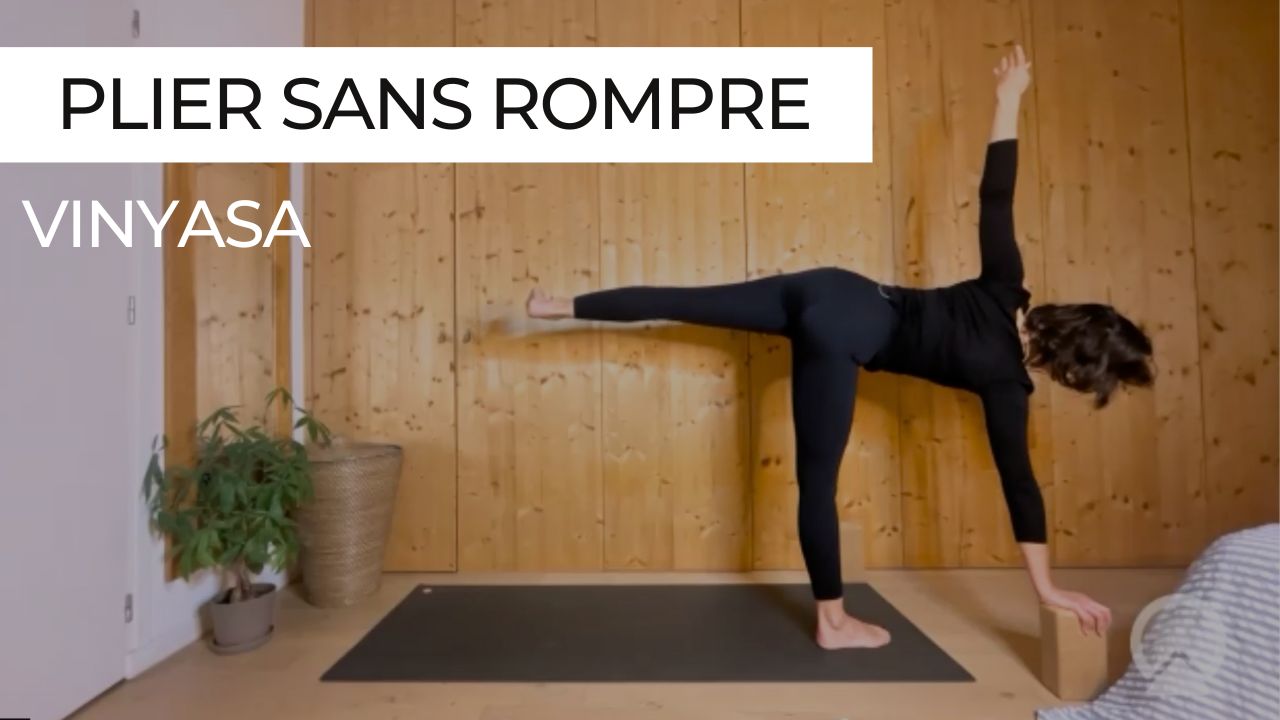 Flow de vinyasa axé sur les flexions, compressions, torsions et inclinaisons latérales, avec engagement du centre et allongement de la colonne