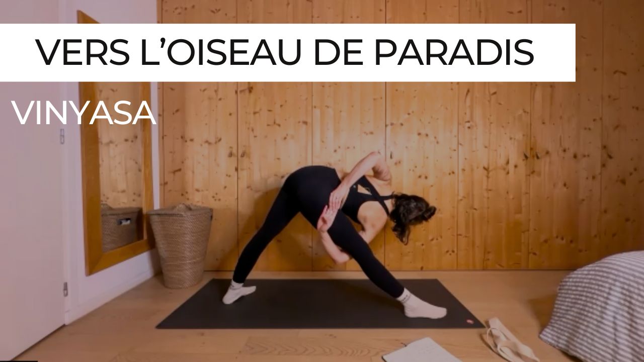 Flow de vinyasa progressif préparant à la posture de l’oiseau de paradis, ouverture des hanches et travail d’équilibre