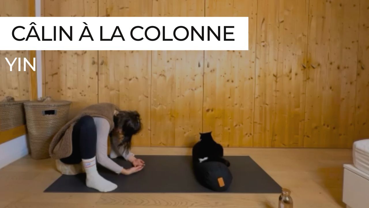 Séance de yin yoga douce pour la colonne vertébrale, postures au sol et respiration apaisante